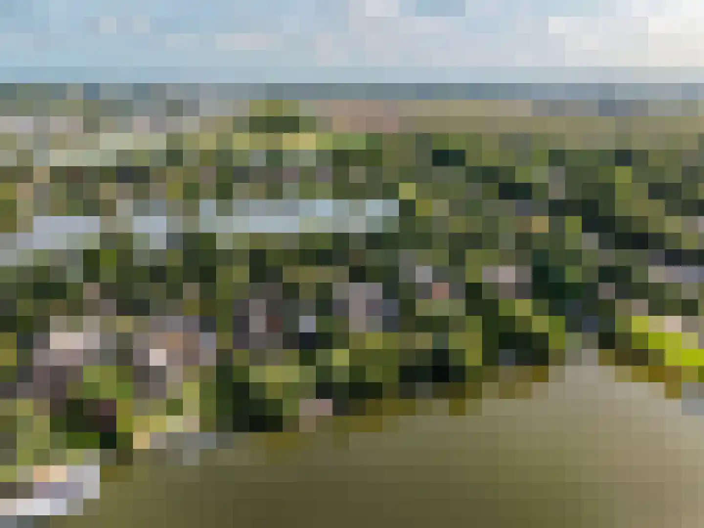Hollandse Hout 261 Lelystad thumbnail 126