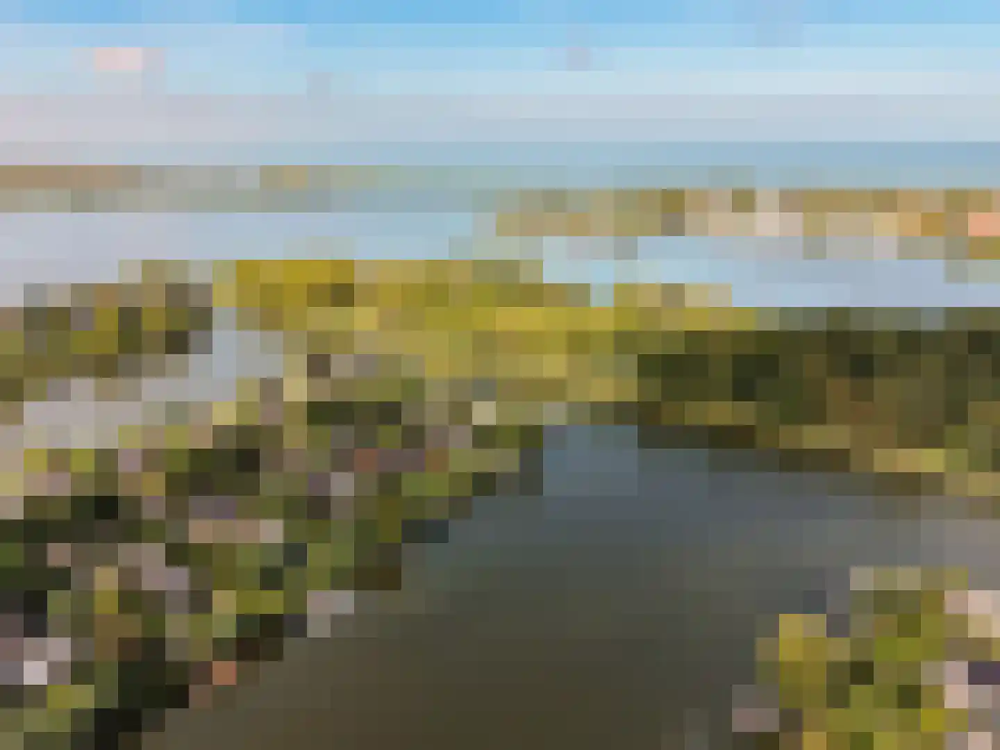 Hollandse Hout 261 Lelystad thumbnail 128