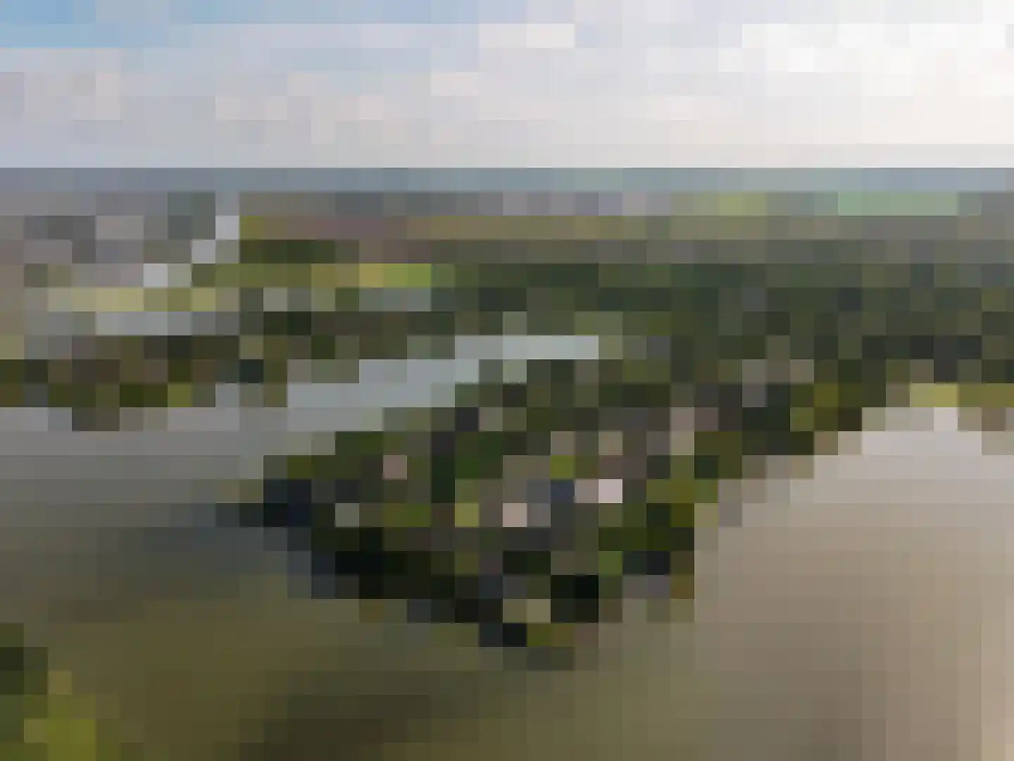 Hollandse Hout 261 Lelystad thumbnail 129