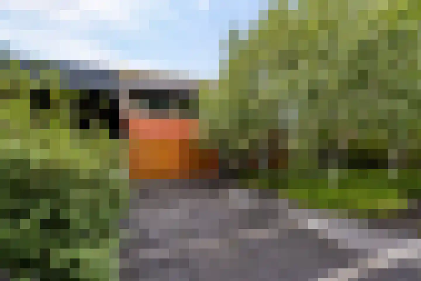 Hollandse Hout 261 Lelystad thumbnail 14