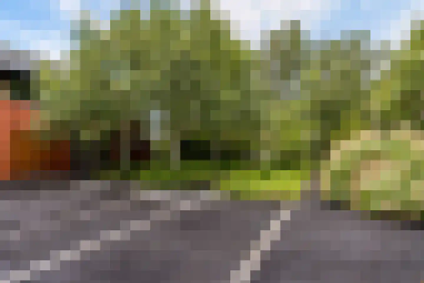 Hollandse Hout 261 Lelystad thumbnail 17