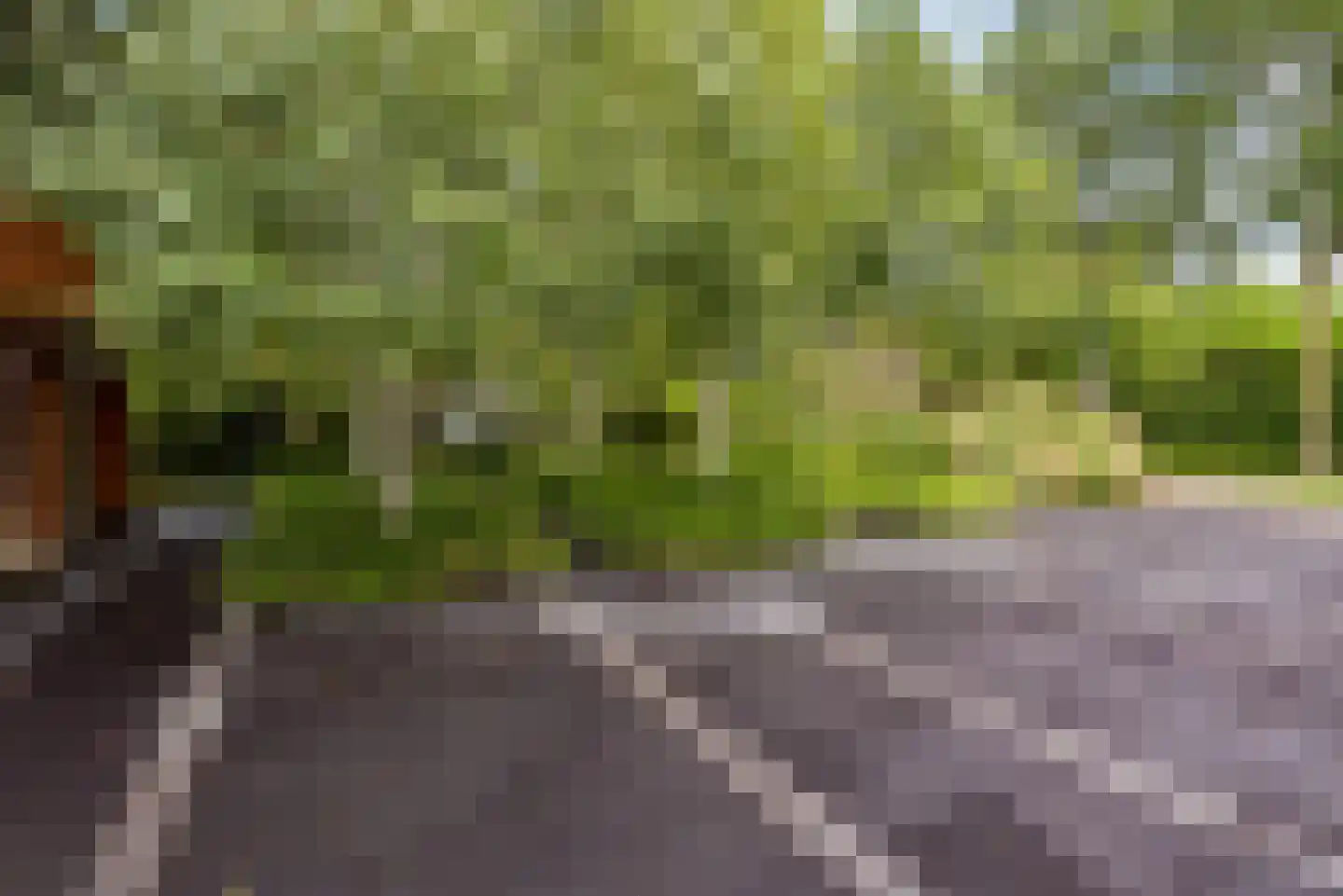 Hollandse Hout 261 Lelystad thumbnail 19