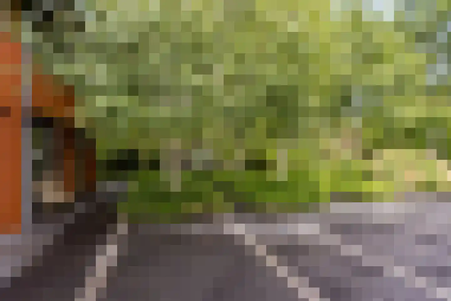 Hollandse Hout 261 Lelystad thumbnail 20