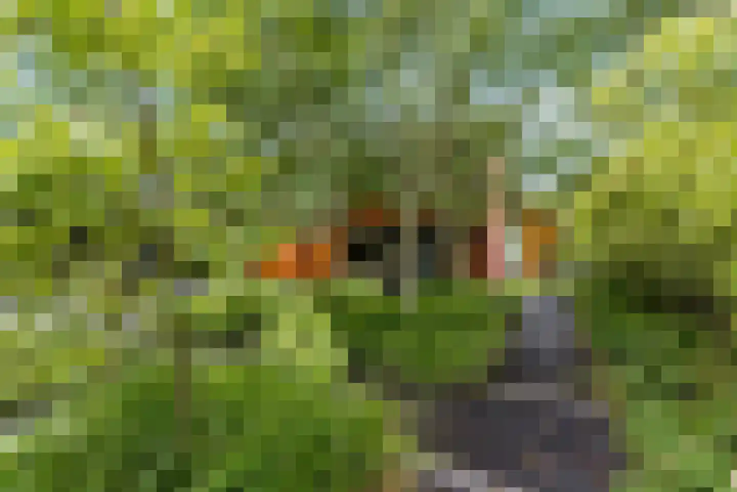 Hollandse Hout 261 Lelystad thumbnail 22