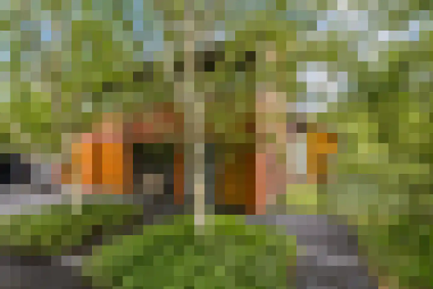 Hollandse Hout 261 Lelystad thumbnail 23