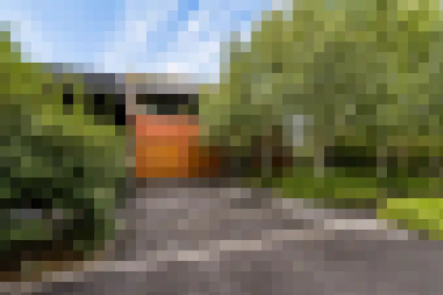 Hollandse Hout 261 Lelystad thumbnail 5