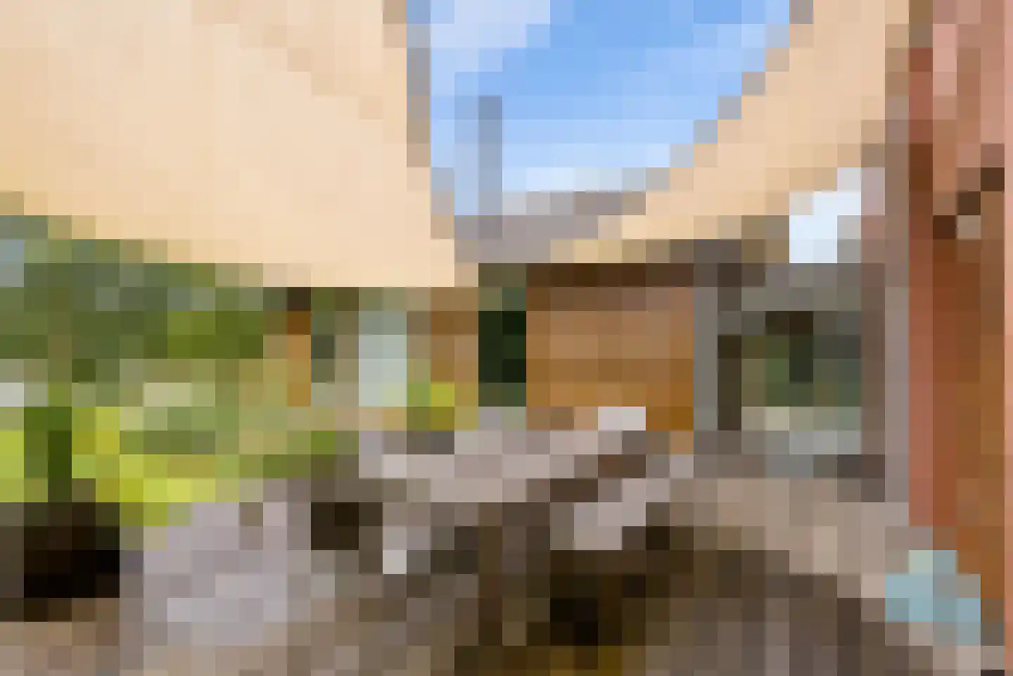 Hollandse Hout 261 Lelystad thumbnail 90