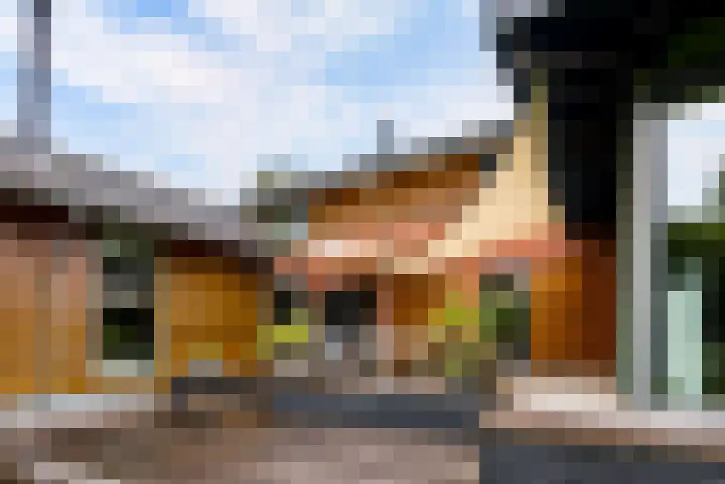 Hollandse Hout 261 Lelystad thumbnail 93
