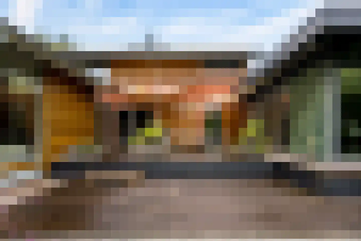 Hollandse Hout 261 Lelystad thumbnail 94
