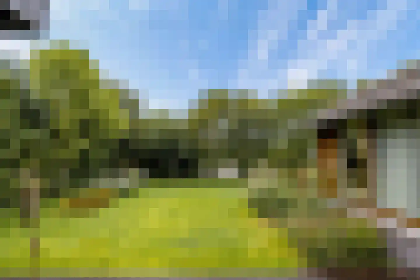 Hollandse Hout 261 Lelystad thumbnail 95
