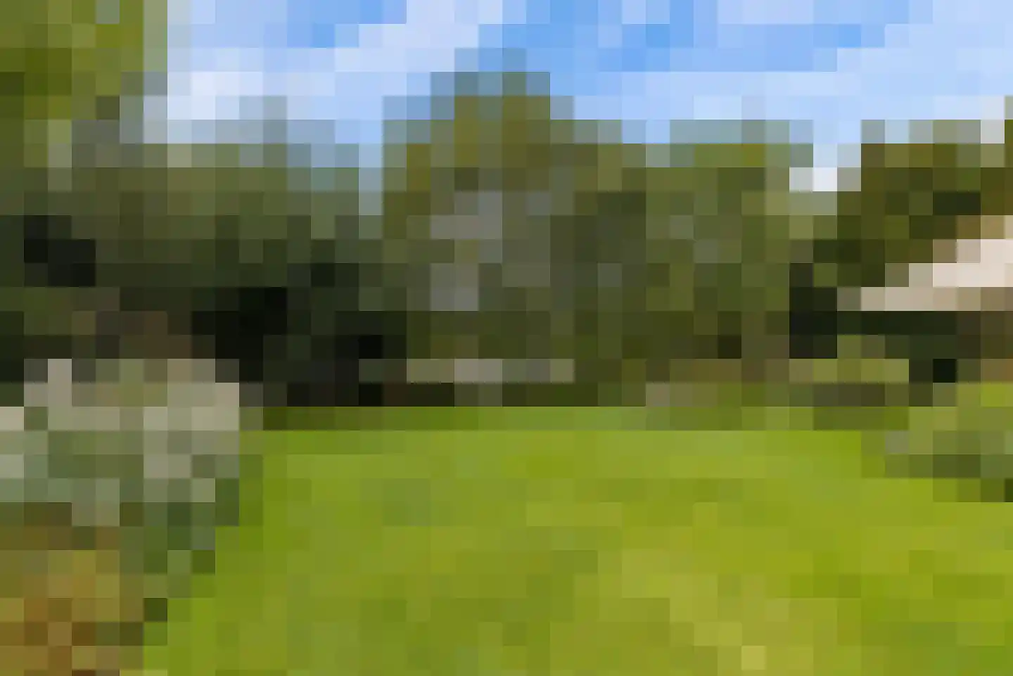 Hollandse Hout 261 Lelystad thumbnail 96