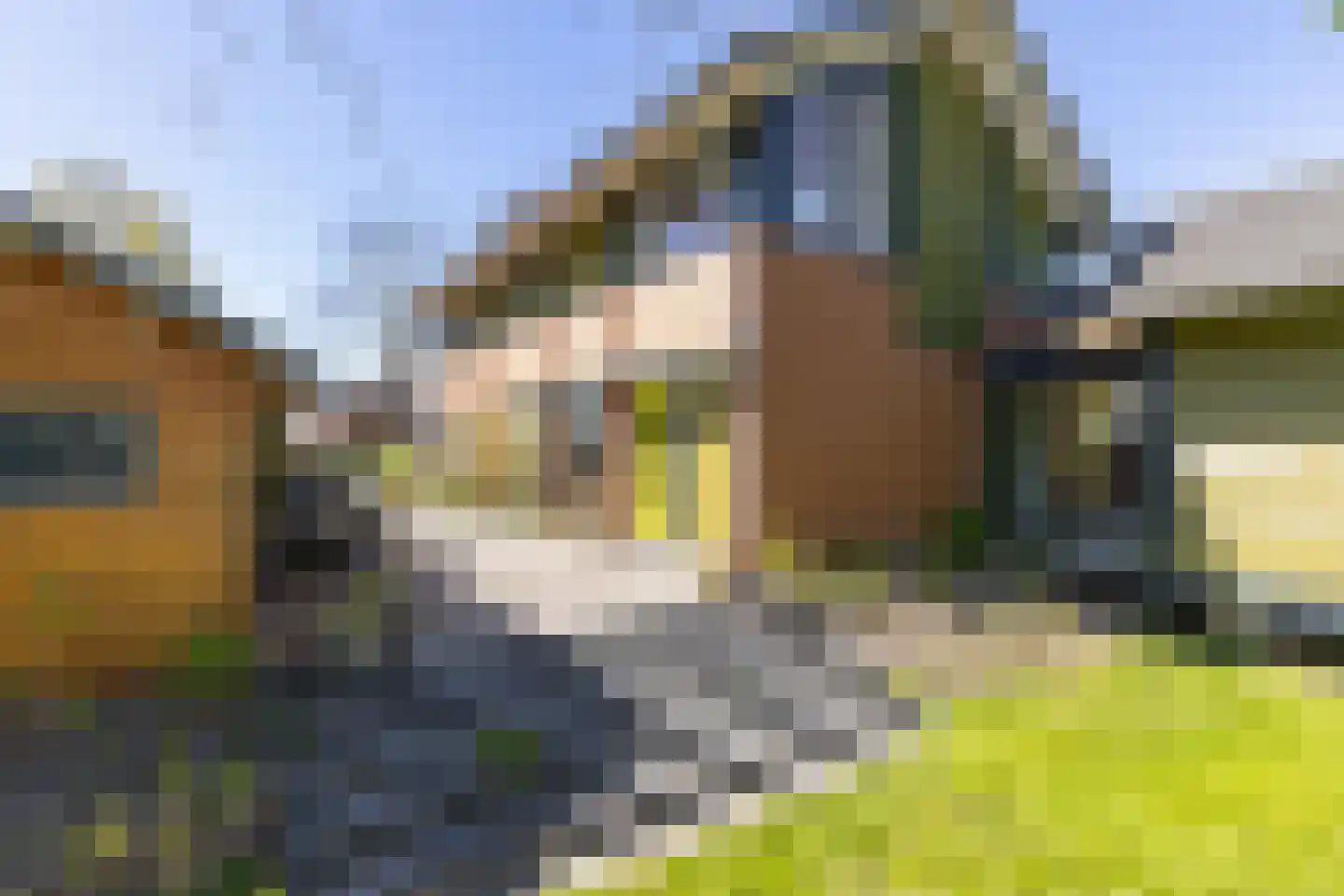 Hollandse Hout 266 Lelystad thumbnail 45