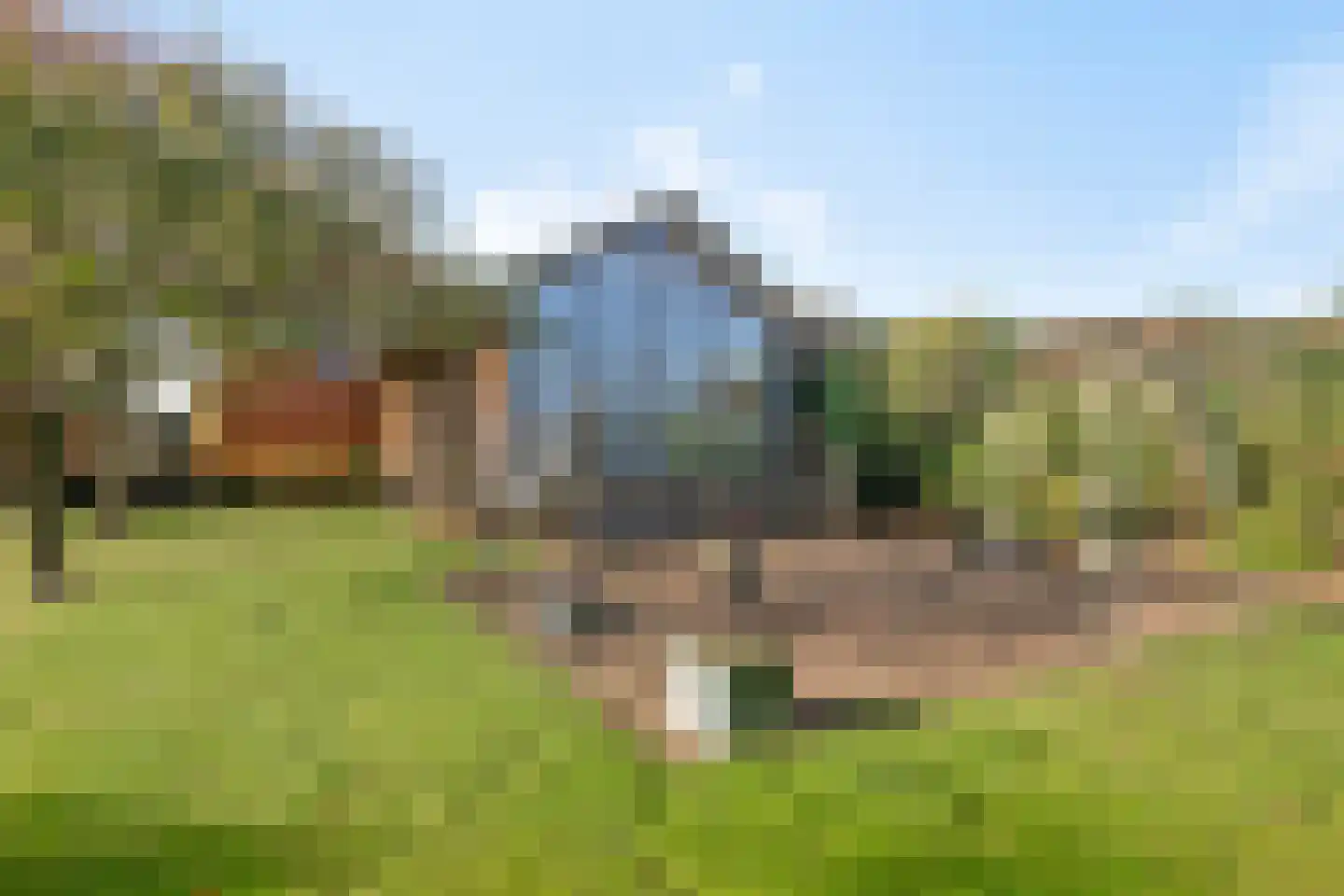 Hollandse Hout 266 Lelystad thumbnail 47