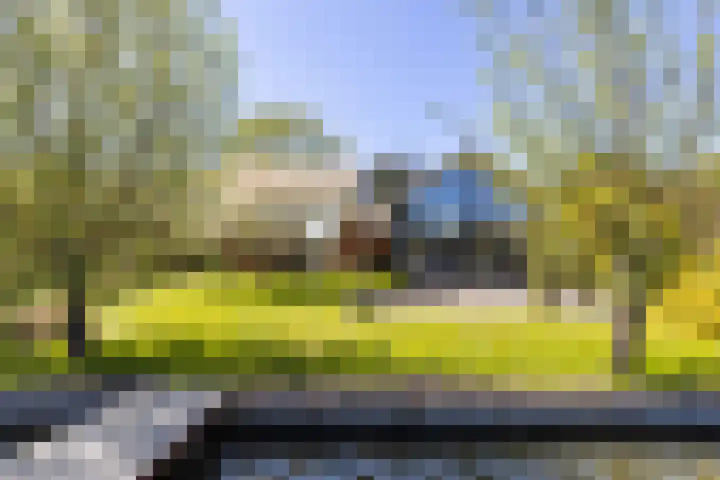 Hollandse Hout 266 Lelystad thumbnail 49