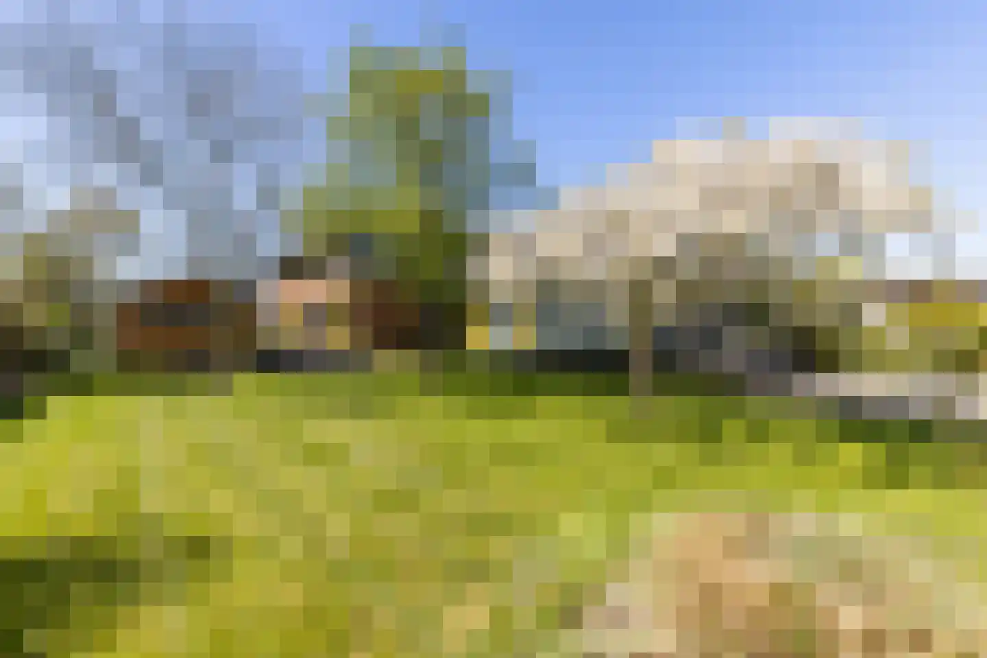 Hollandse Hout 266 Lelystad thumbnail 52