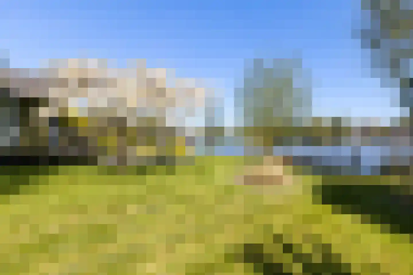 Hollandse Hout 266 Lelystad thumbnail 54