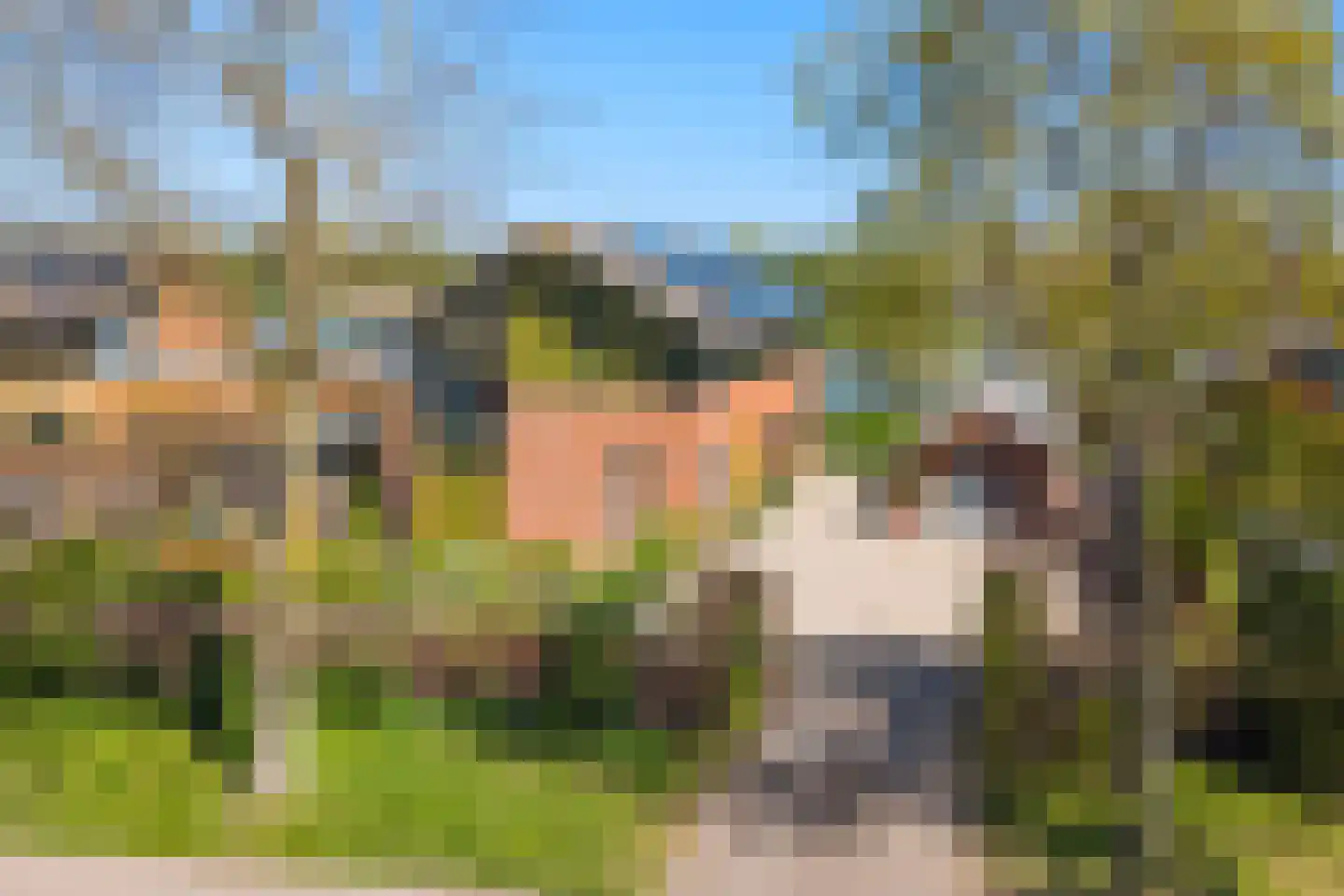Hollandse Hout 266 Lelystad thumbnail 55