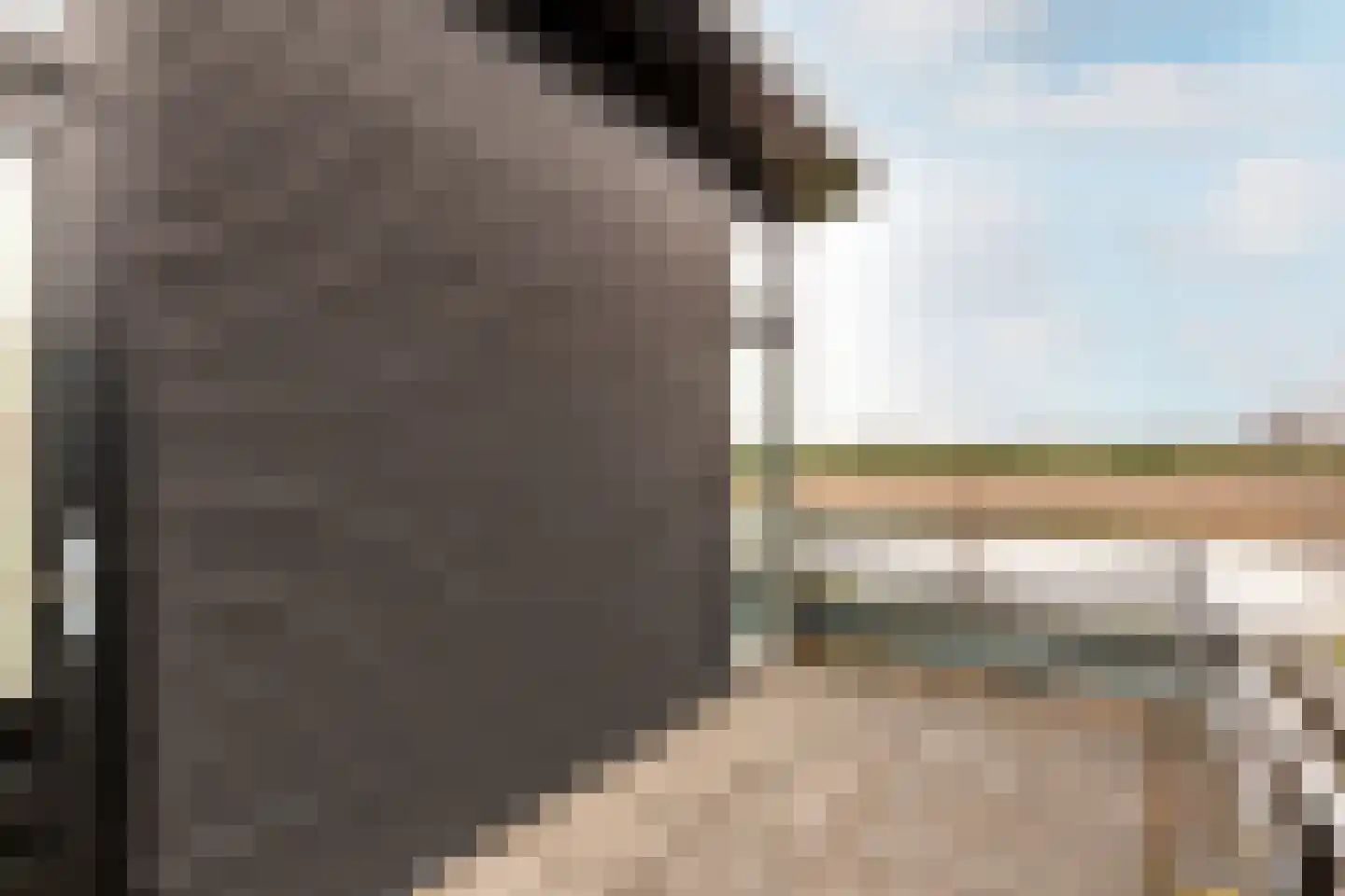 Hollandse Hout 340 Lelystad thumbnail 33