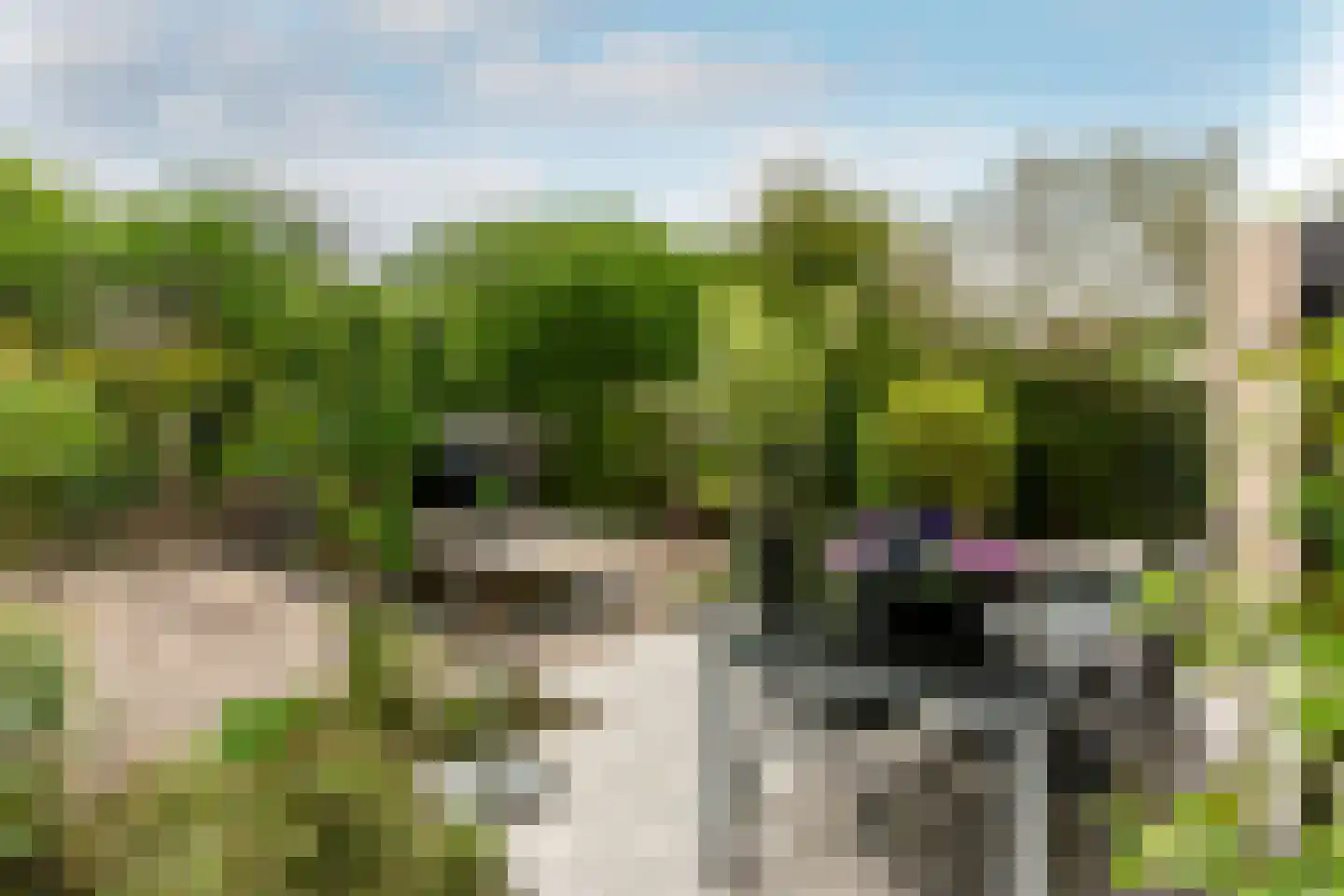 Hollandse Hout 340 Lelystad thumbnail 36