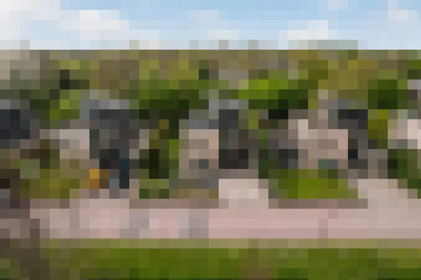 Hollandse Hout 340 Lelystad thumbnail 50