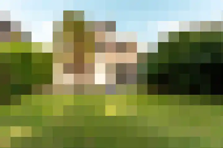 Hollandse Hout 354 Lelystad thumbnail 35