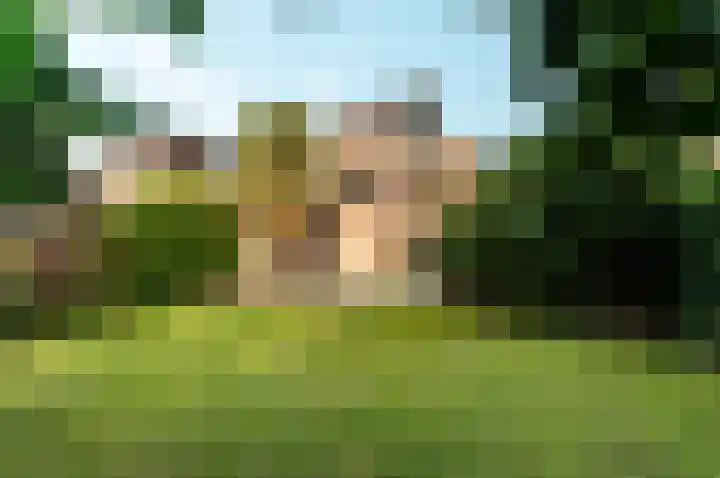 Hollandse Hout 354 Lelystad thumbnail 36