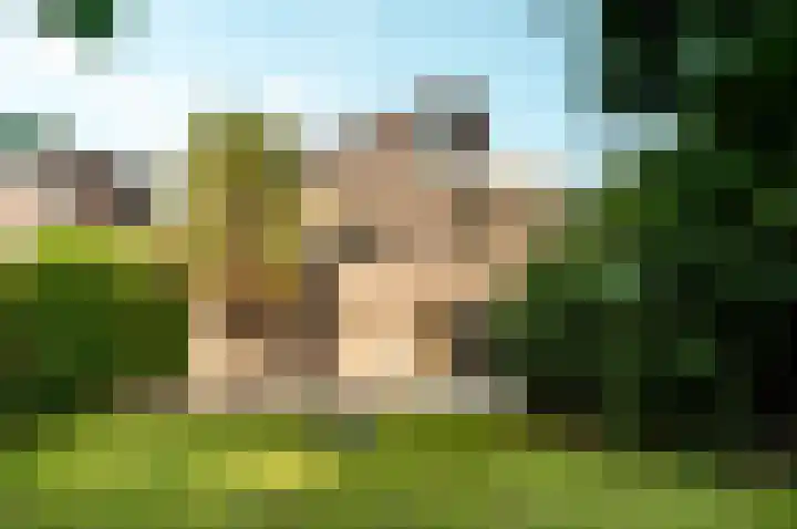 Hollandse Hout 354 Lelystad thumbnail 37