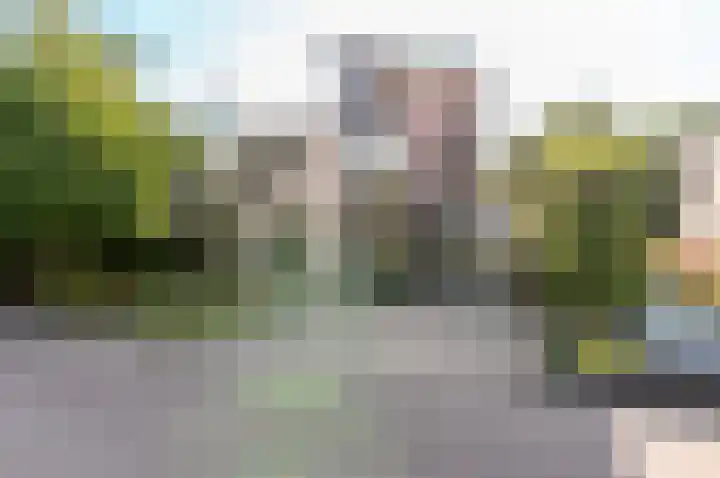 Hollandse Hout 354 Lelystad thumbnail 40