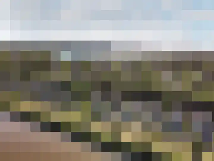 Hollandse Hout 354 Lelystad thumbnail 47