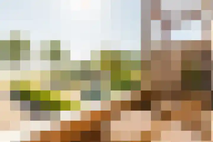 Hollandse Hout 36 Lelystad thumbnail 18