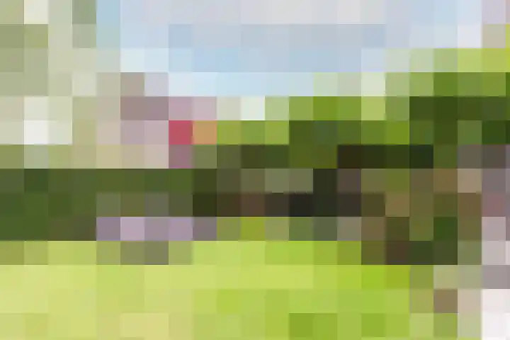 Hollandse Hout 36 Lelystad thumbnail 54