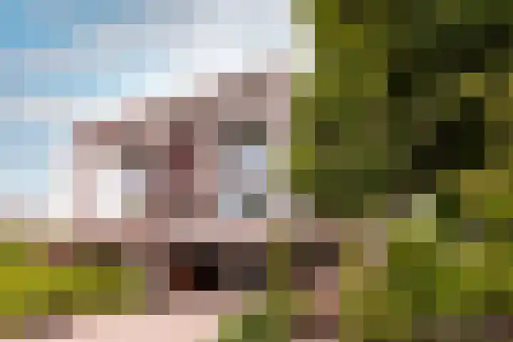 Hollandse Hout 36 Lelystad thumbnail 6