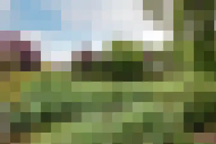 Hollandse Hout 36 Lelystad thumbnail 60
