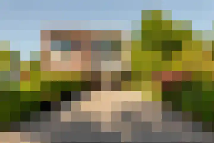 Hollandse Hout 36 Lelystad thumbnail 61