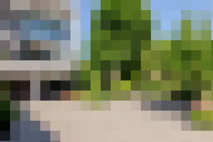 Hollandse Hout 36 Lelystad thumbnail 65