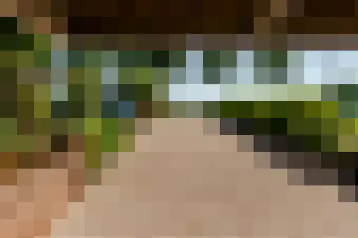 Hollandse Hout 36 Lelystad thumbnail 66