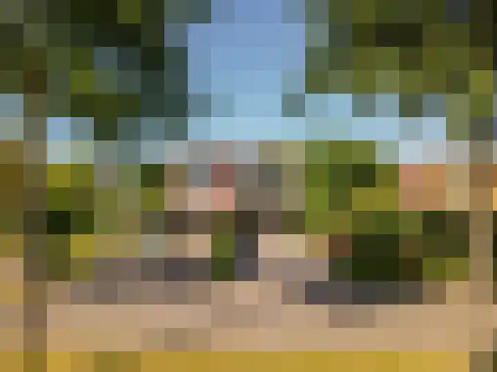 Hollandse Hout 36 Lelystad thumbnail 68