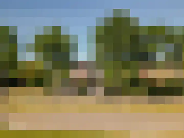 Hollandse Hout 36 Lelystad thumbnail 69