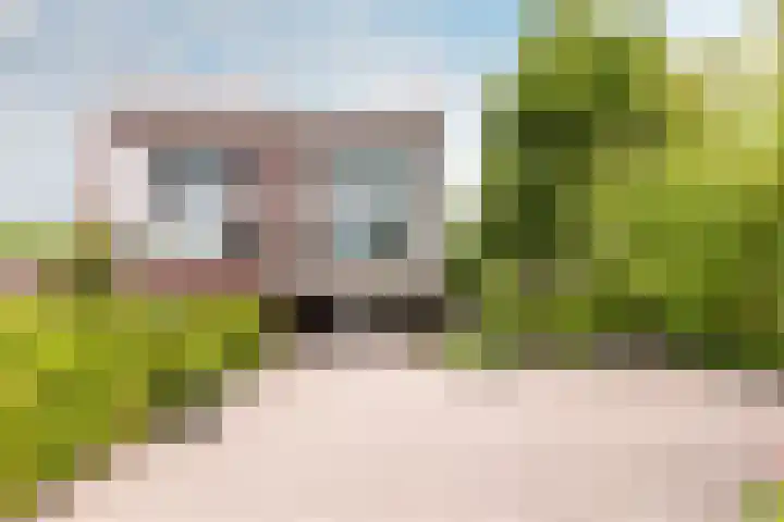 Hollandse Hout 36 Lelystad thumbnail 80