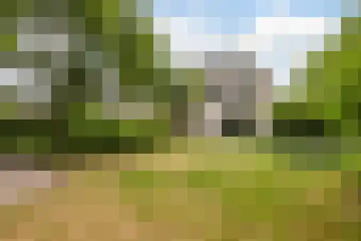 Hollandse Hout 380 Lelystad thumbnail 5