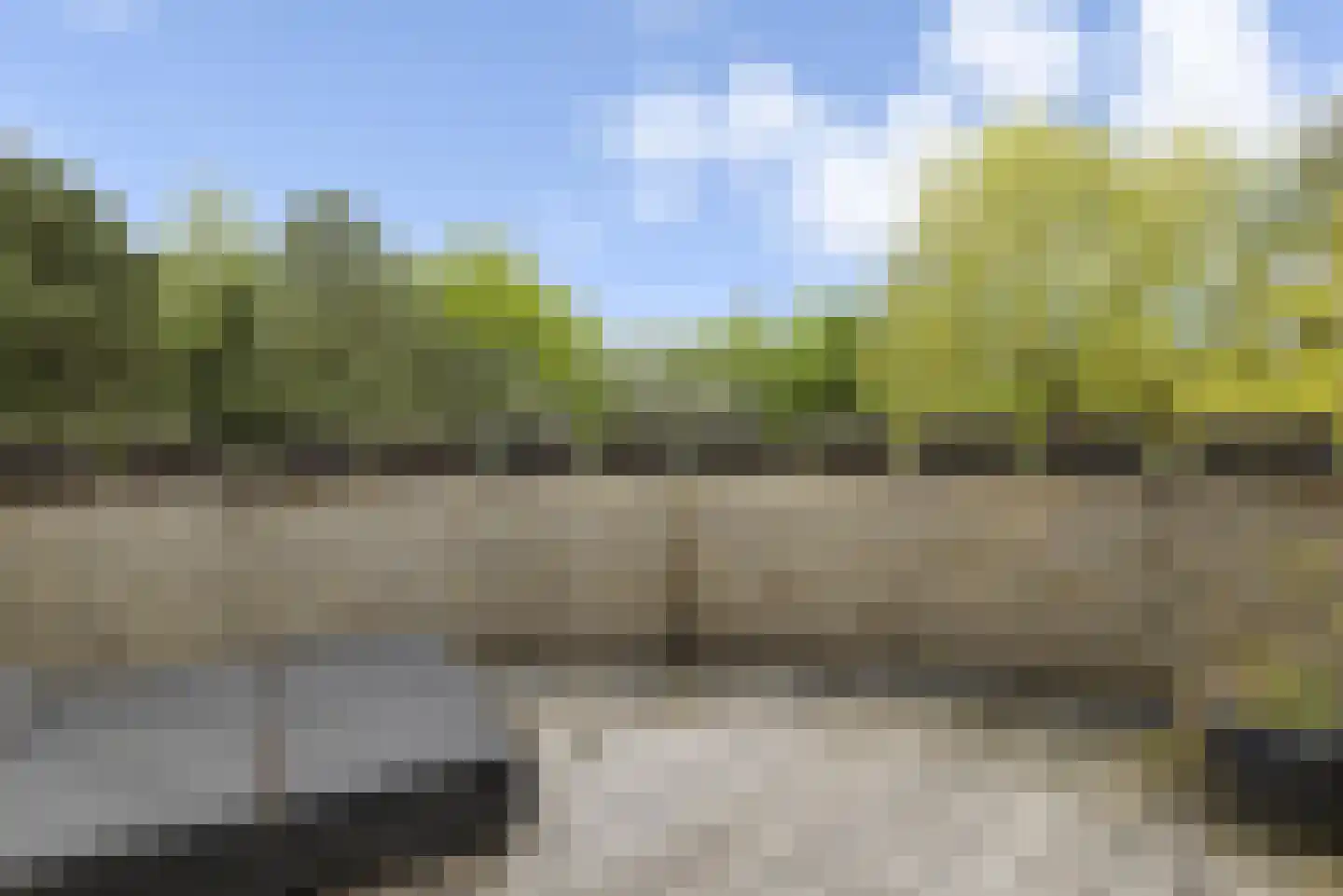 Hollandse Hout 52 Lelystad thumbnail 24