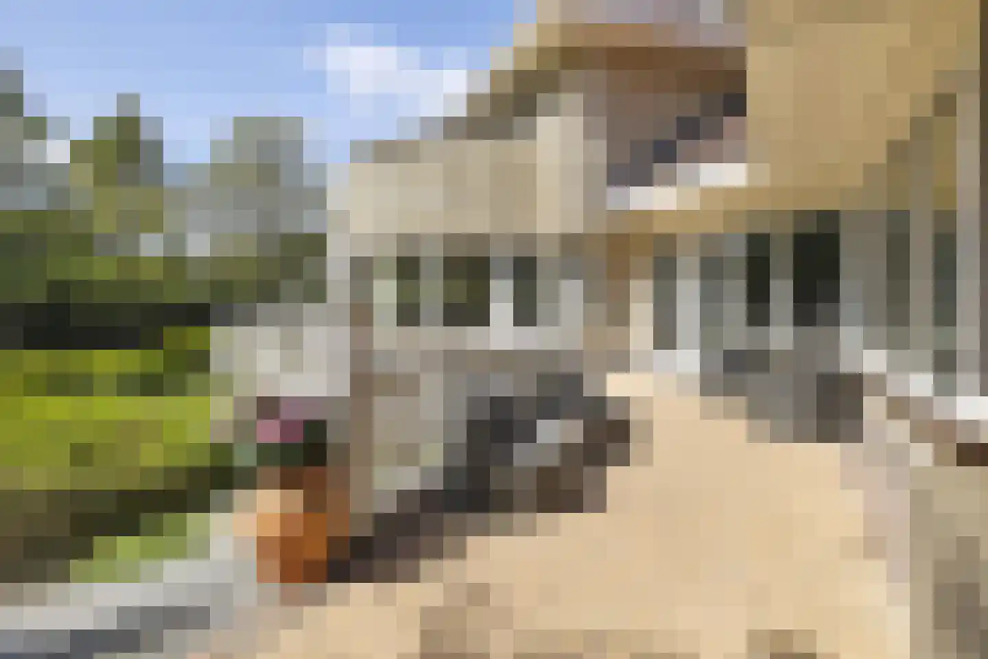 Hollandse Hout 52 Lelystad thumbnail 39