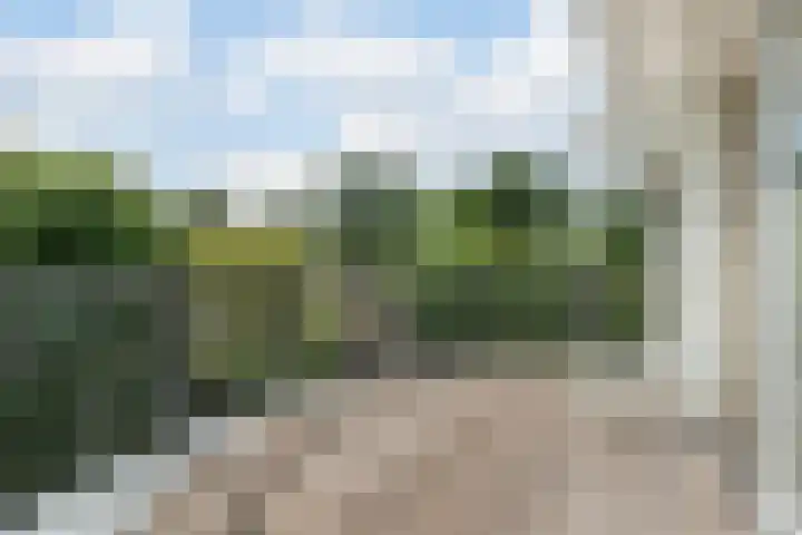 Hollandse Hout 70 Lelystad thumbnail 49