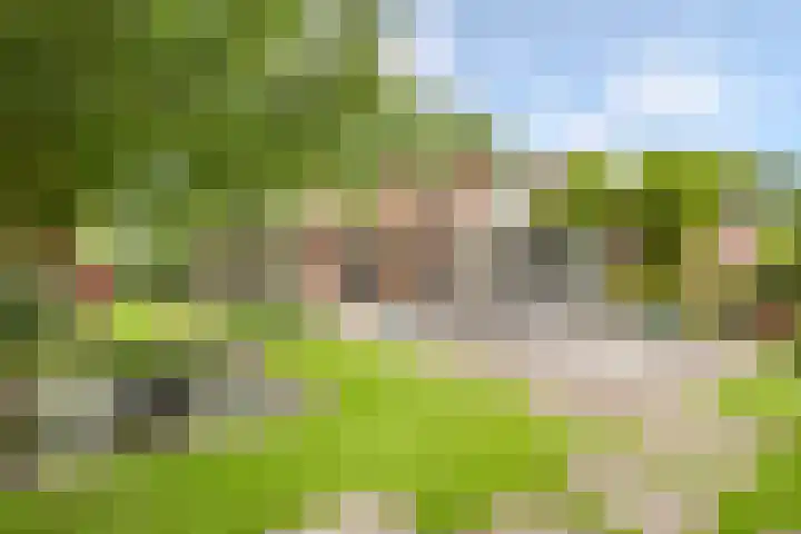 Hollandse Hout 70 Lelystad thumbnail 5