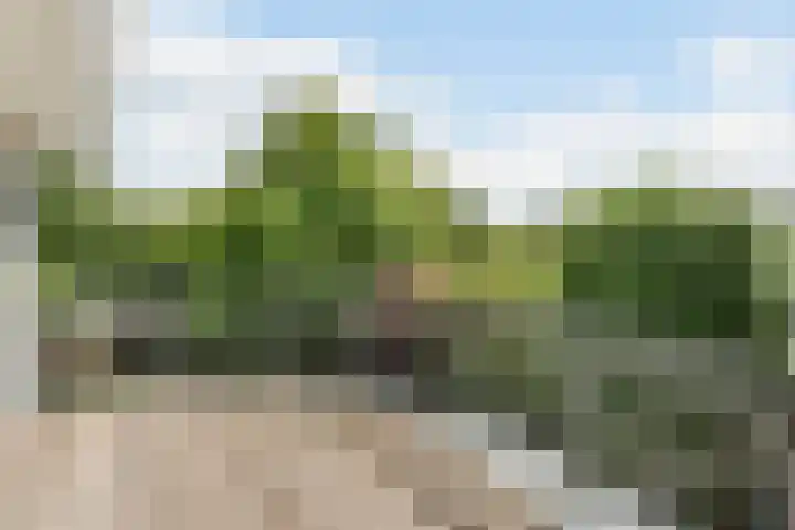 Hollandse Hout 70 Lelystad thumbnail 50
