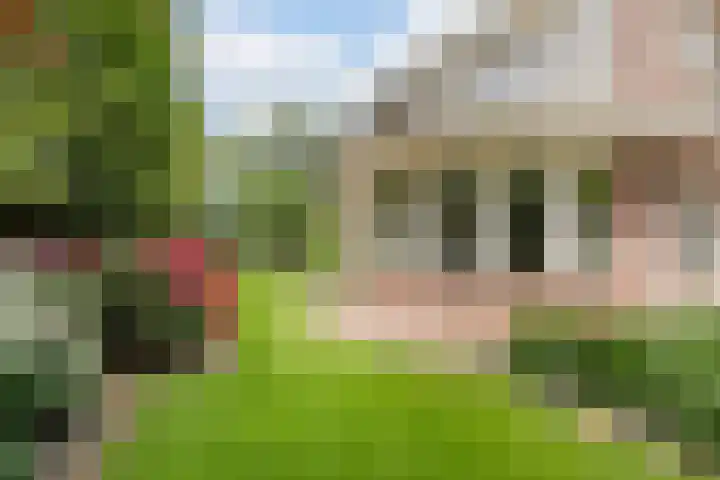 Hollandse Hout 70 Lelystad thumbnail 51