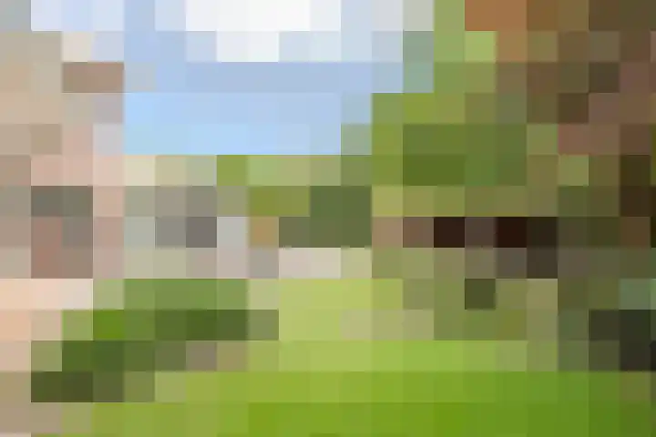 Hollandse Hout 70 Lelystad thumbnail 60