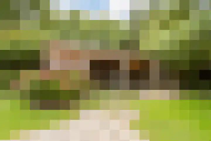 Hollandse Hout 70 Lelystad thumbnail 61