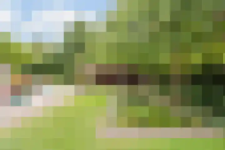 Hollandse Hout 70 Lelystad thumbnail 67
