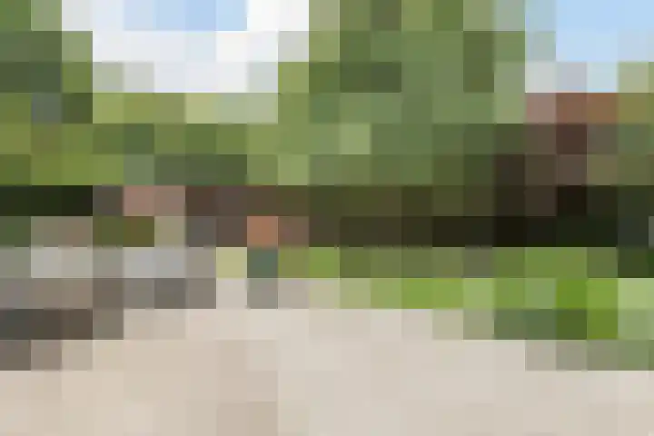 Hollandse Hout 70 Lelystad thumbnail 68